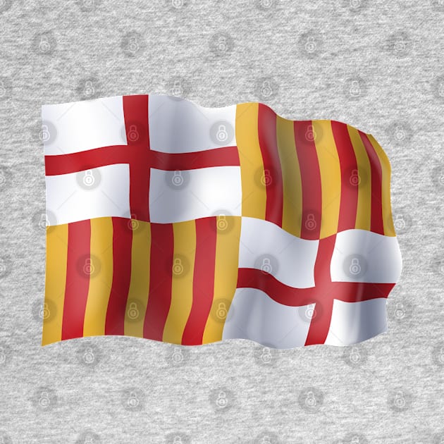 Barcelona flag by SerenityByAlex